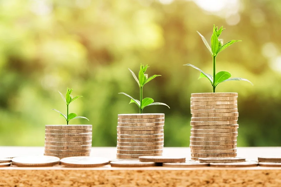 Money, Profit, Finance, Business, Return, Yield